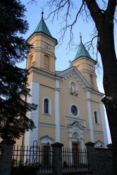 2010032620009