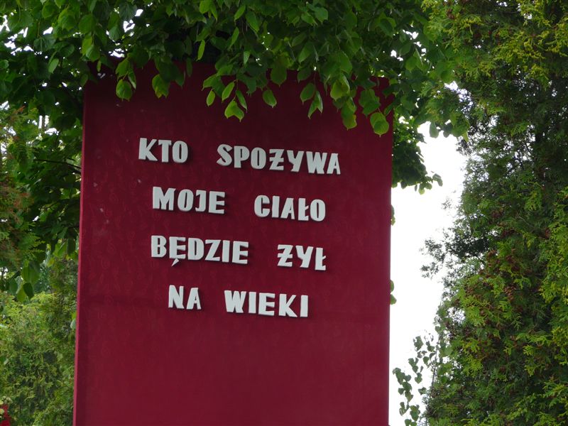 P1050802