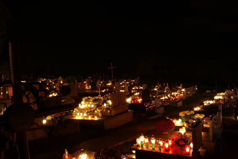 DSC07341