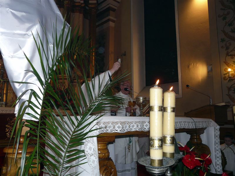 P1020504