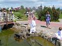 PICT0101
