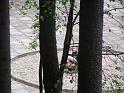 PICT0156