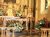 maly_013_2077.jpg