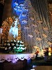 maly_013_9890.jpg