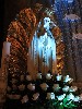 maly_013_9891.jpg