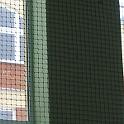IMG_3119