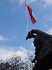 maly_dsc08623.jpg