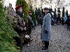 maly_dsc08696.jpg