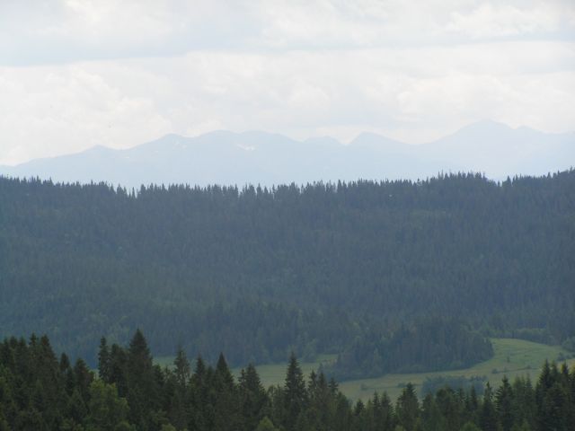 PICT0024