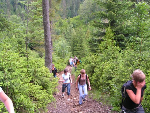PICT0151