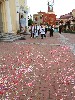 maly_013_1813.jpg