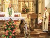maly_013_1868.jpg