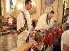 maly_013_1881.jpg
