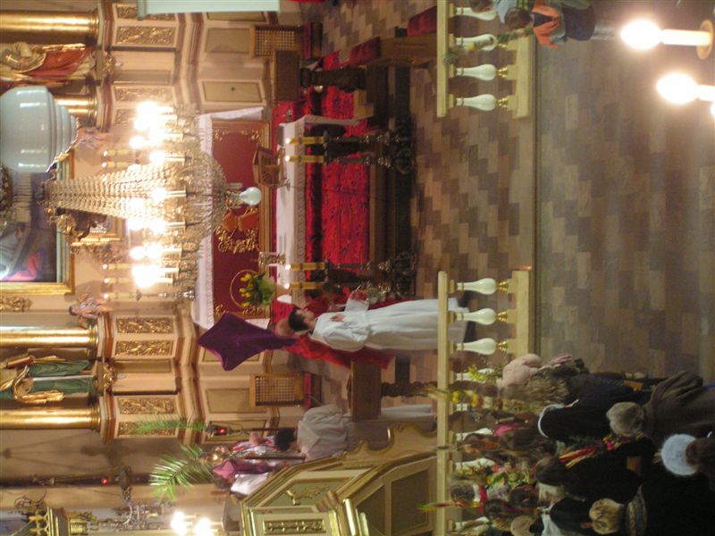 PICT0351
