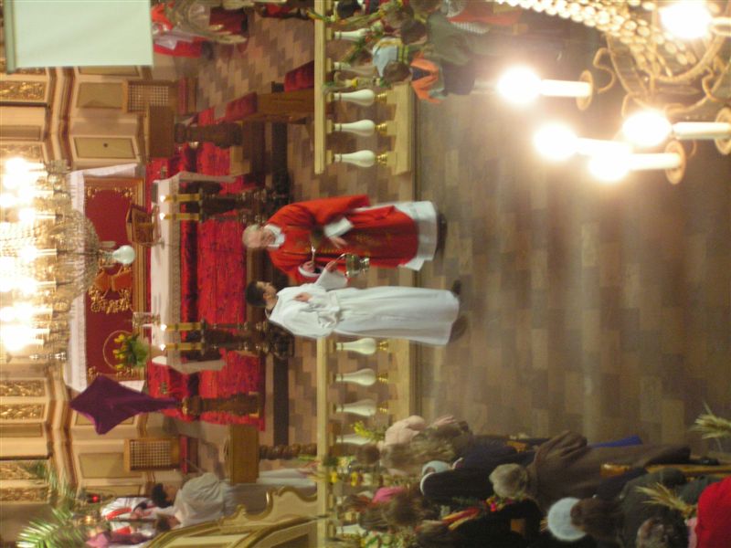 PICT0352