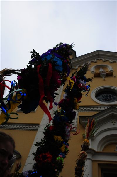 DSC_1168