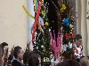 maly_dscf2402.jpg