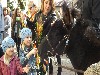 maly_dscf2429.jpg