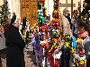 maly_dscf2445.jpg