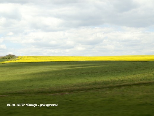 duzy_dsc00983.jpg