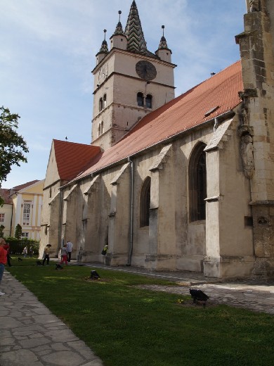 duzy_dsc01455.jpg