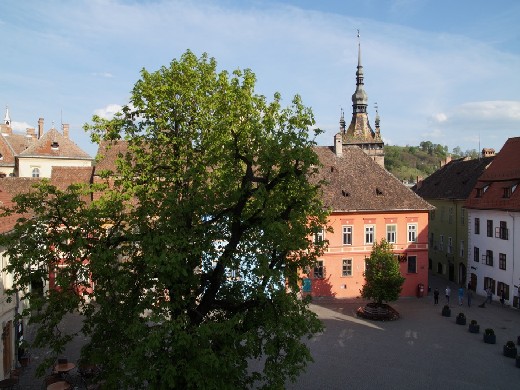 duzy_dsc01585.jpg