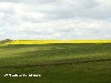 maly_dsc00983.jpg