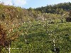 maly_dsc01028.jpg