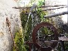 maly_dsc01340.jpg