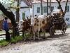 maly_dsc01350.jpg