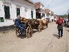 maly_dsc01358.jpg