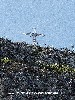 maly_dsc01371.jpg