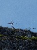maly_dsc01372.jpg