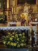 maly_dsc03185.jpg