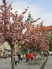 maly_013_9425.jpg
