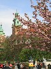 maly_013_9426.jpg