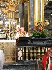 maly_013_9448.jpg
