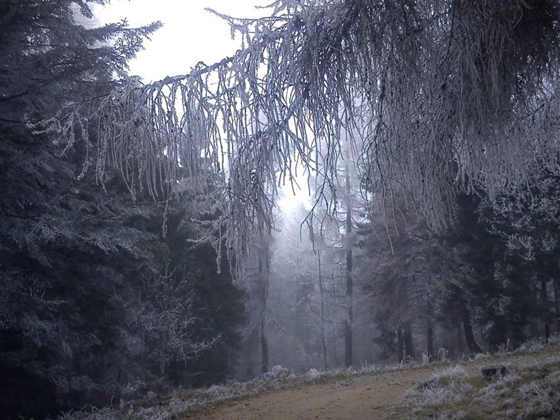 dsc05731