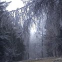 dsc05731