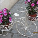 IMG_0005
