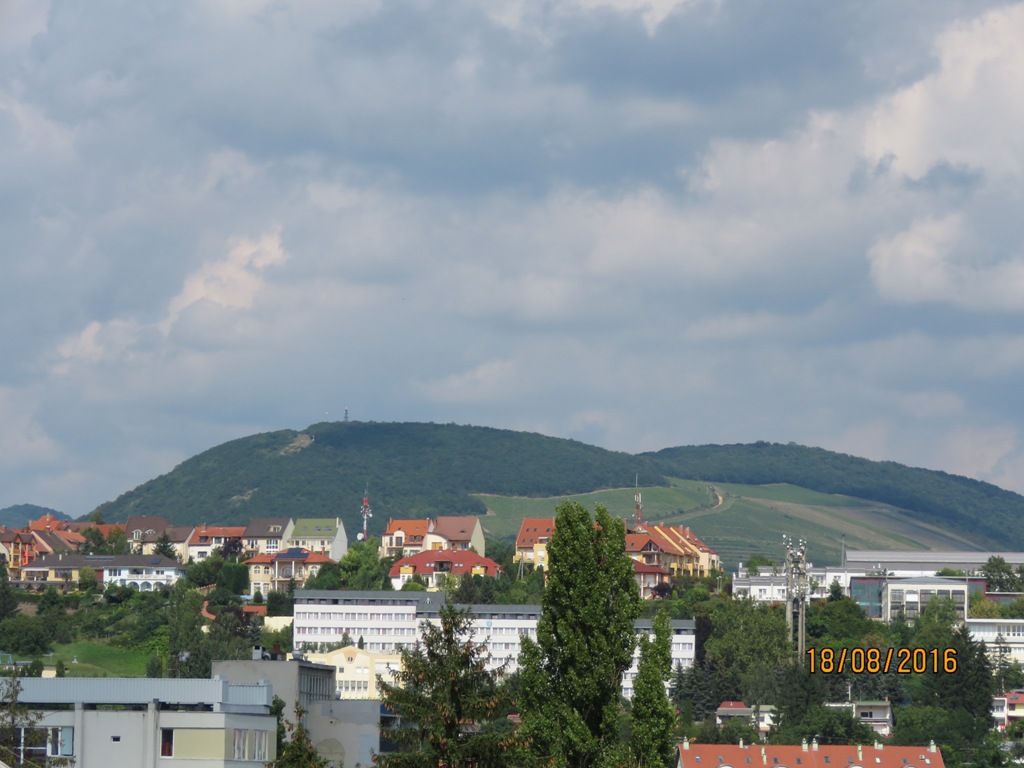 wegry16 (19)