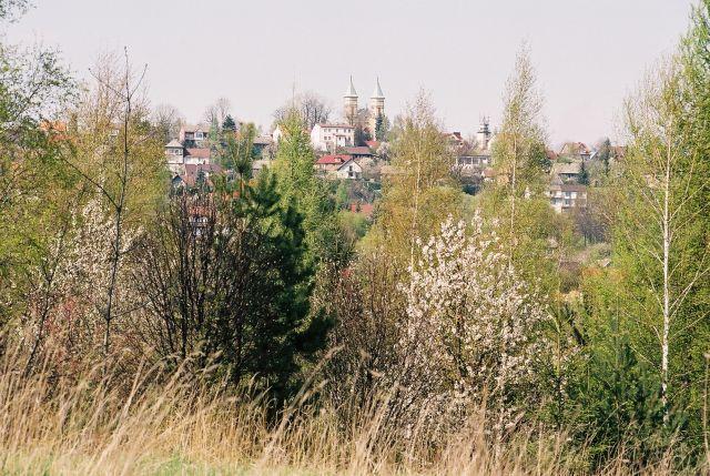 F1040009