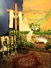 maly_013_9159.jpg