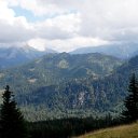 DSC03871