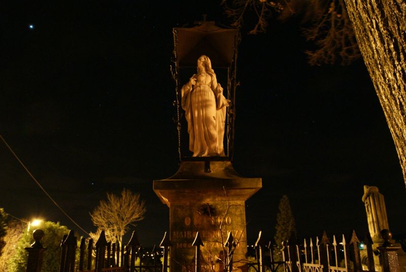 DSC02132