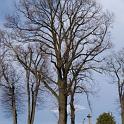 DSC02069