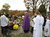 maly_013_5821.jpg