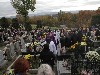 maly_013_5837.jpg