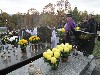 maly_013_5847.jpg
