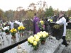 maly_013_5848.jpg